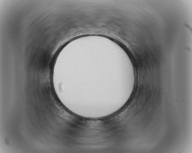 X0000091191498200708161538