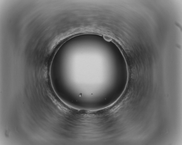 X0000091191499200708161538