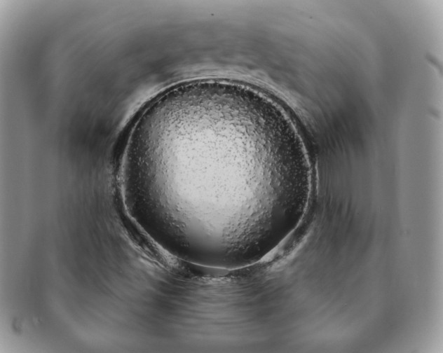 X0000091191501200708161538