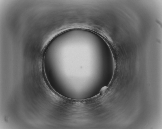 X0000091191504200708161538