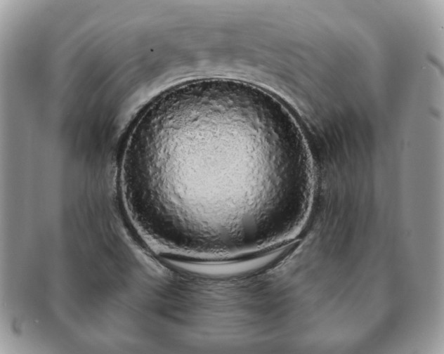 X0000091191507200708161538