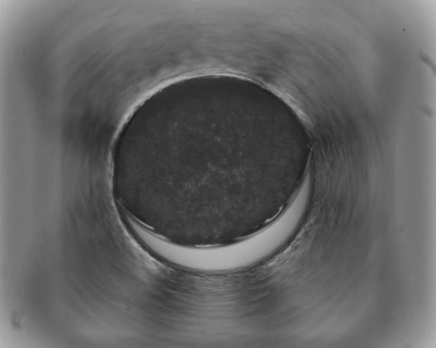 X0000091191508200708161538