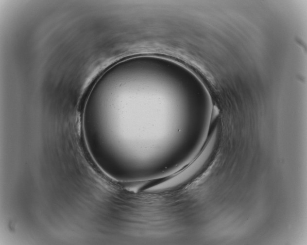 X0000091191509200708161538