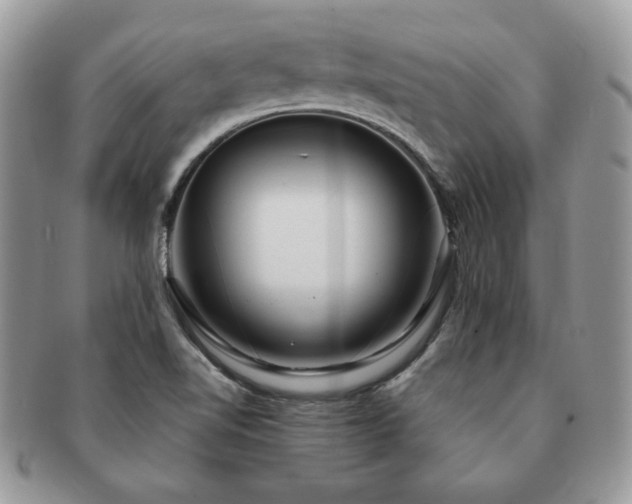 X0000091191510200708161538
