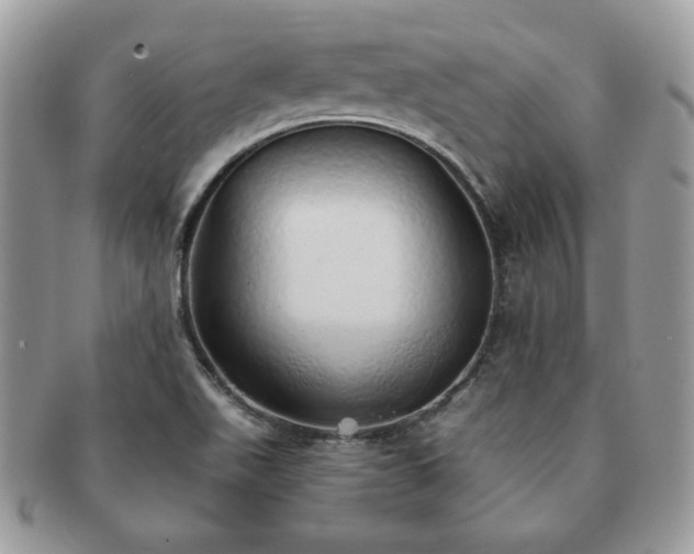 X0000091191511200708161538