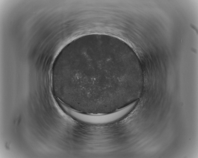 X0000091191515200708161538