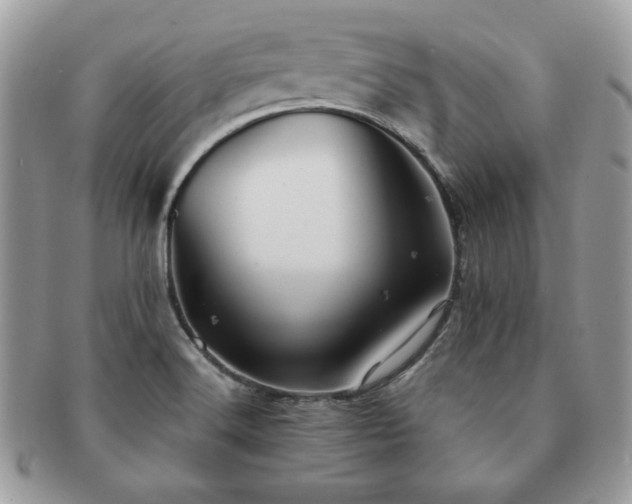 X0000091191516200708161538