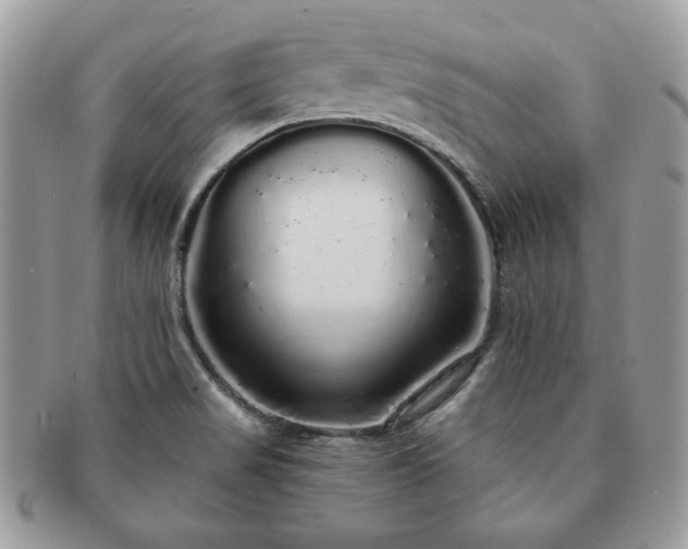 X0000091191517200708161538
