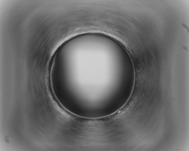 X0000091191518200708161538