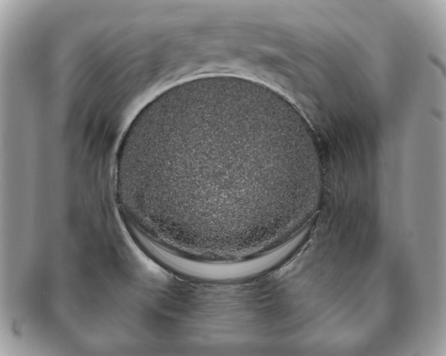 X0000091191519200708161538