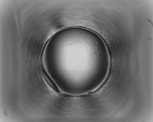 X0000091191521200708161538