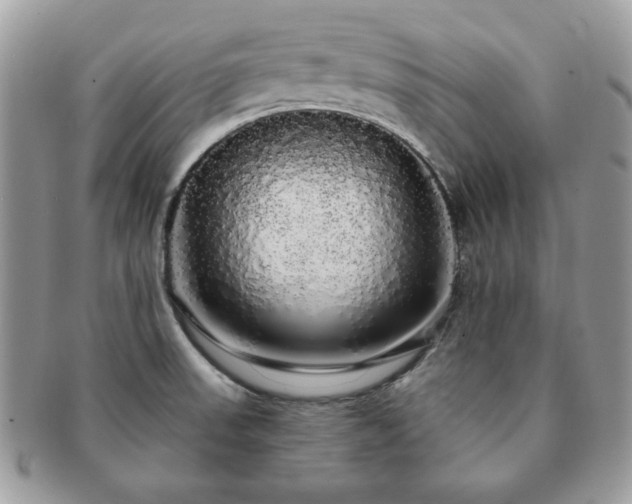 X0000091191523200708161538