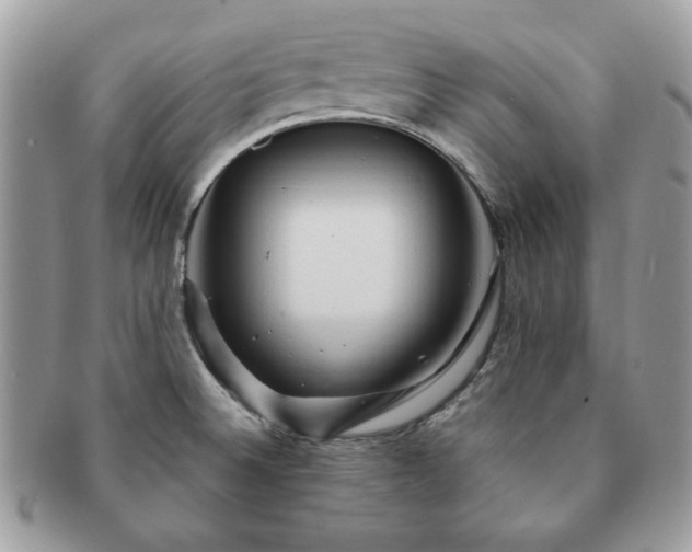 X0000091191524200708161538