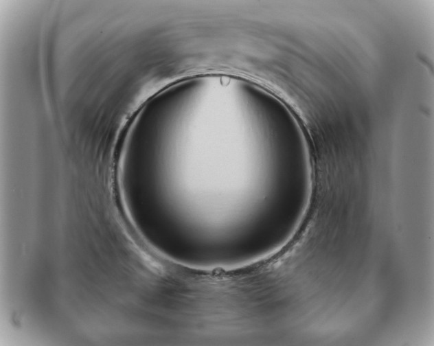 X0000091191525200708161538