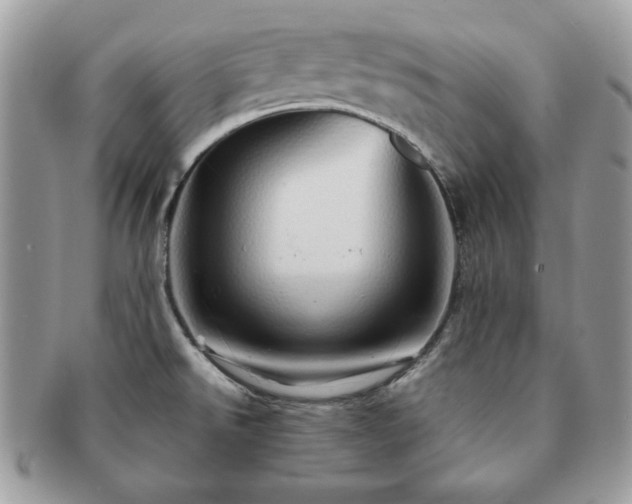 X0000091191526200708161538