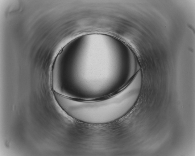 X0000091191528200708161538