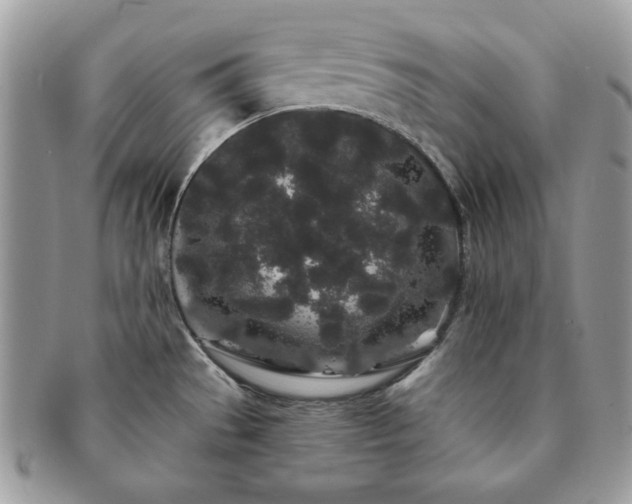 X0000091191529200708161539