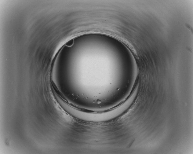 X0000091191530200708161539