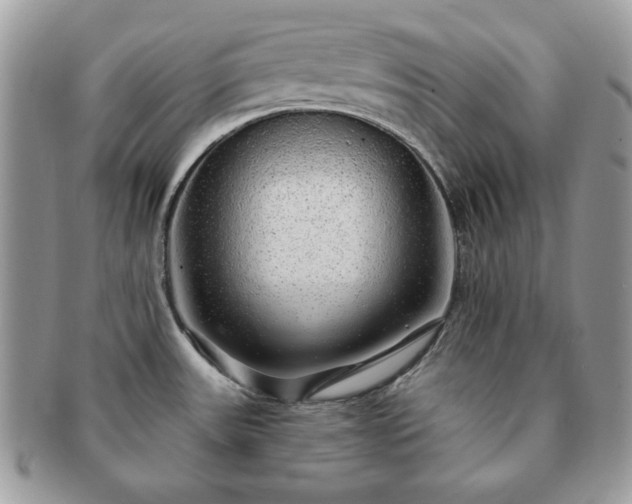 X0000091191531200708161539