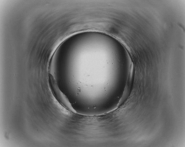 X0000091191532200708161539