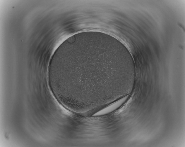 X0000091191533200708161539