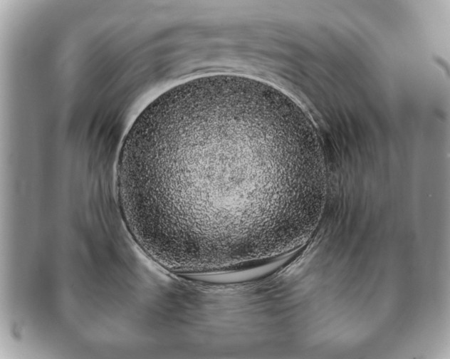 X0000091191535200708161539