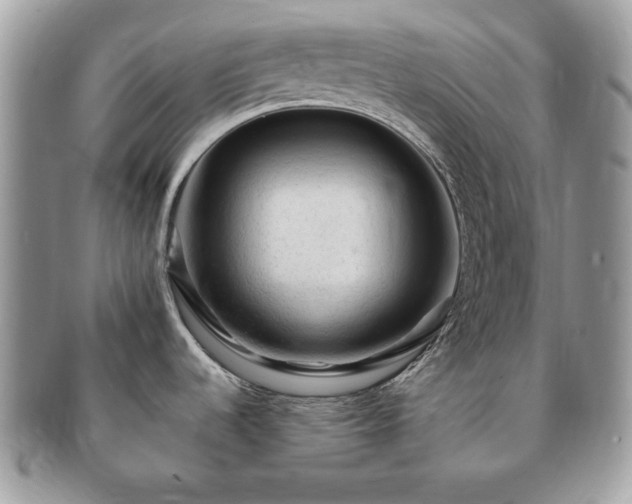X0000091191536200708161539