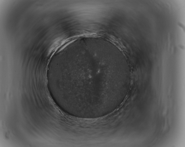 X0000091190002200708231518