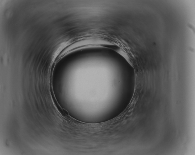 X0000091190003200708231518