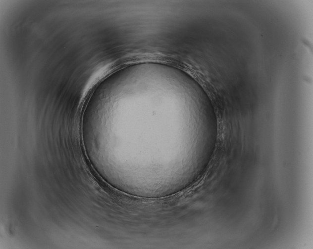 X0000091190004200708231518