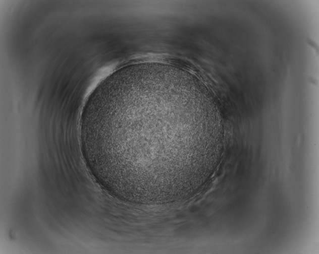 X0000091190006200708231518