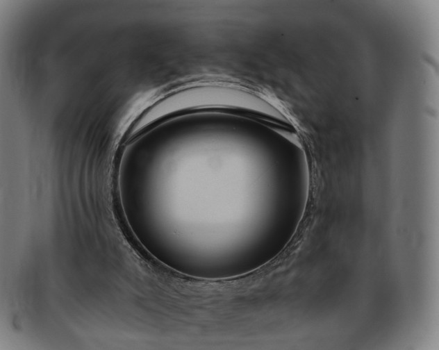 X0000091190007200708231518