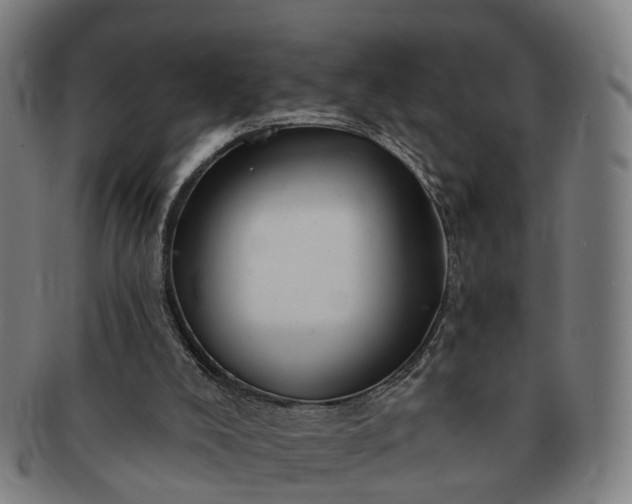 X0000091190008200708231518