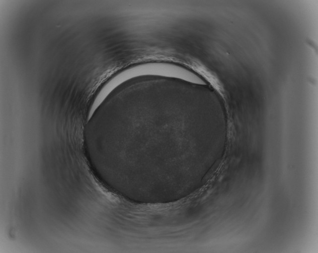 X0000091190009200708231518