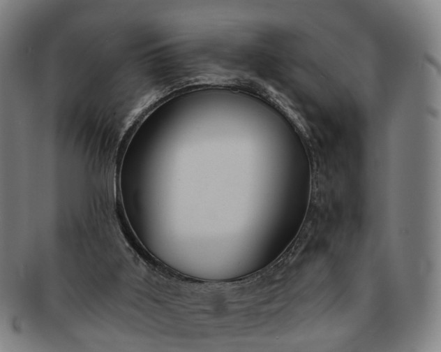 X0000091190011200708231518