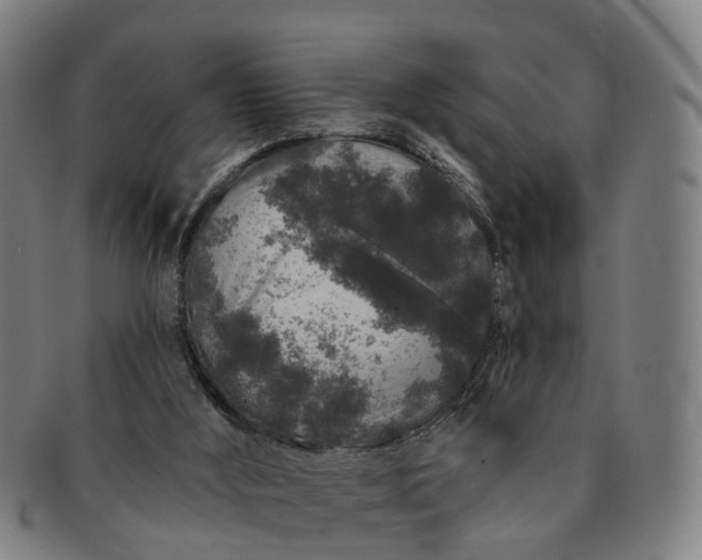 X0000091190012200708231518