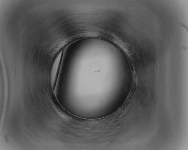 X0000091190013200708231518