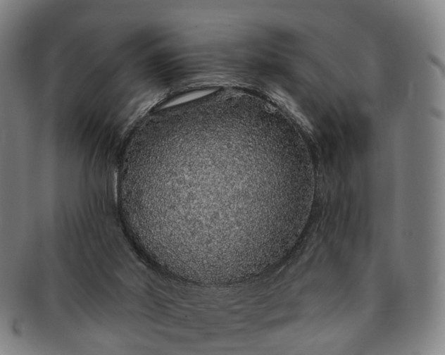 X0000091190014200708231518