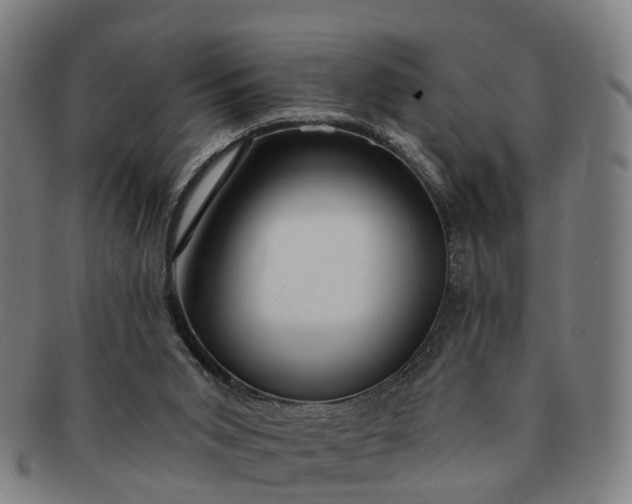 X0000091190015200708231518