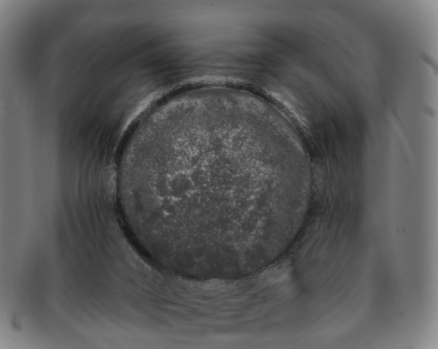 X0000091190016200708231518