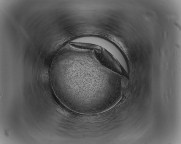 X0000091190017200708231518