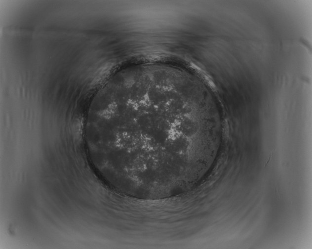 X0000091190018200708231518