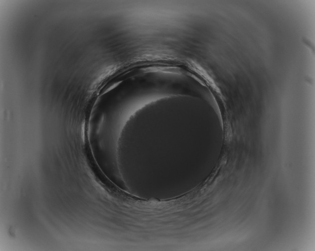 X0000091190019200708231518