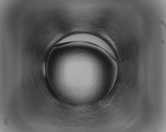 X0000091190020200708231518