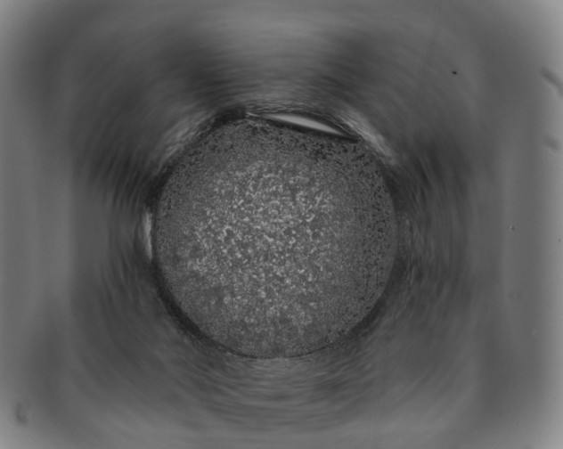 X0000091190022200708231518