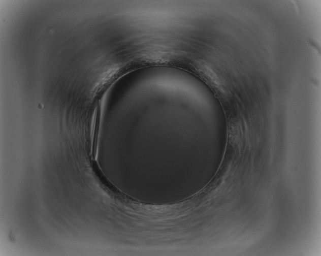 X0000091190023200708231518