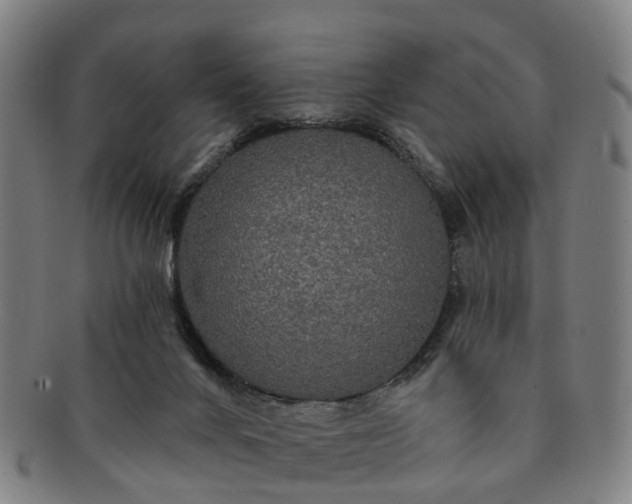 X0000091190024200708231518