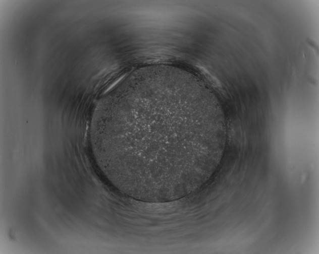 X0000091190026200708231518