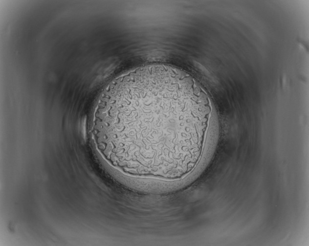 X0000091190028200708231518