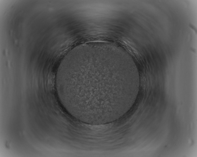 X0000091190030200708231518